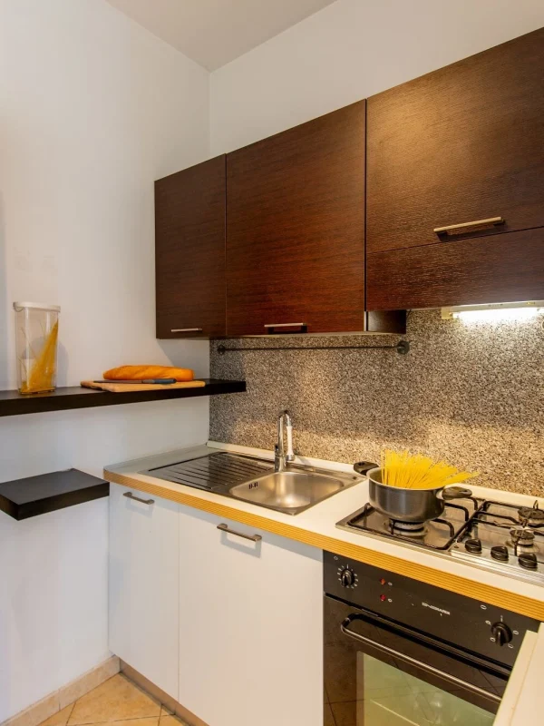 Kleine moderne Küche mit Kochfeld, Waschbecken und dunklen Holzschränken.